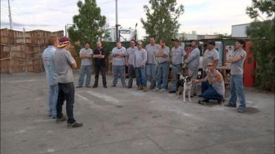 American Restoration