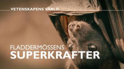 Vetenskapens värld
