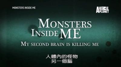Monsters Inside Me