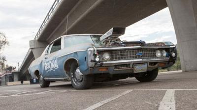 Roadkill