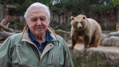 David Attenborough's Natural Curiosities