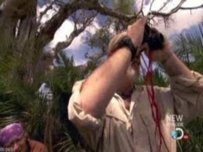 Dual Survival