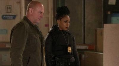 Law & Order: Organized Crime