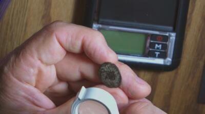 The Curse of Oak Island