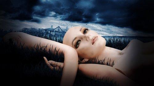 The Fox Hollow Murders: Playground of a Serial Killer filmas žiurėti online