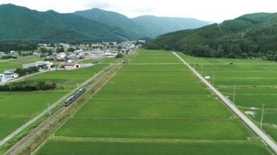 Train Cruise