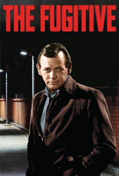 The Fugitive filmas online