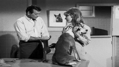 The Fugitive