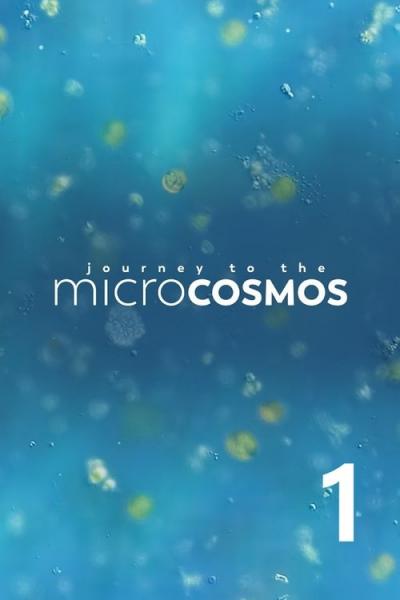 Journey to the Microcosmos filmas online