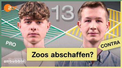 13 Fragen