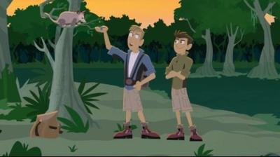 Wild Kratts