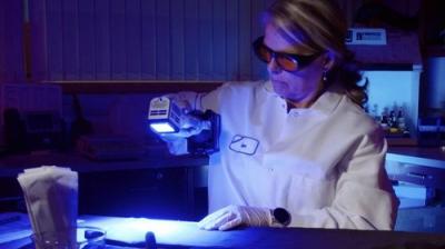 Forensic Files II