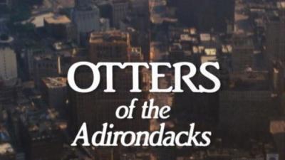 Marty Stouffer's Wild America