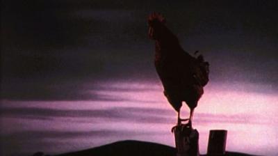 Green Acres