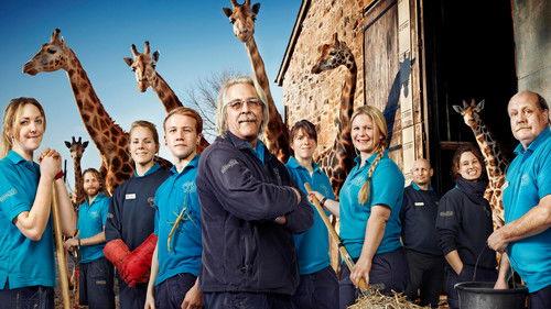 The Secret Life of the Zoo filmas žiurėti online