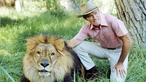 Cowboy in Africa filmas žiurėti online