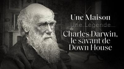 Une Maison, Un Artiste