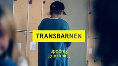 Uppdrag granskning