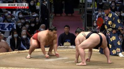 GRAND SUMO Highlights