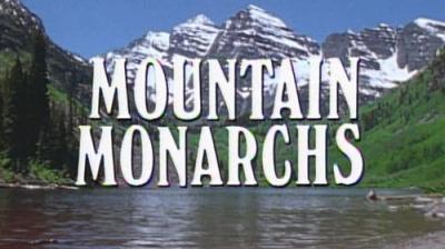Marty Stouffer's Wild America