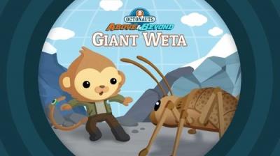 Octonauts: Above & Beyond