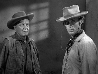 Rawhide