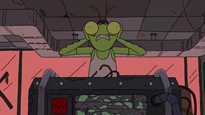 Vermin