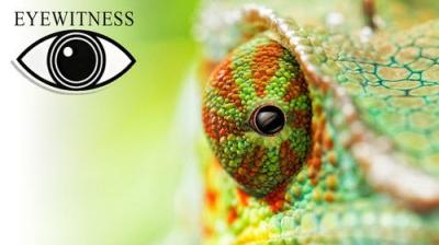 Eyewitness