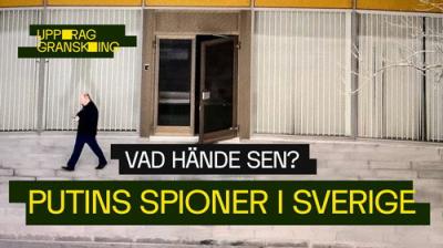 Uppdrag granskning sommar