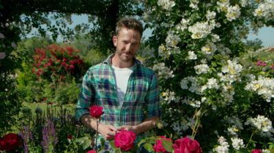 Gardeners' World