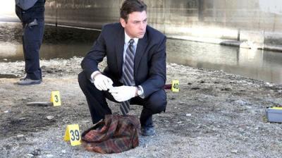 Law & Order: LA