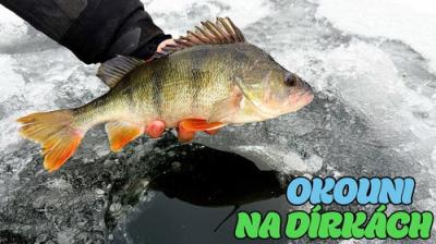Rybománie
