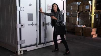 Bošas. Naujas skyrius