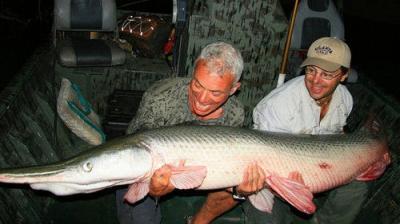 River Monsters