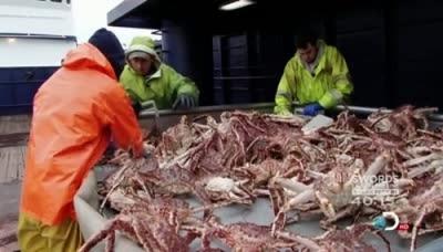 Deadliest Catch