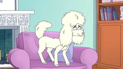 HouseBroken