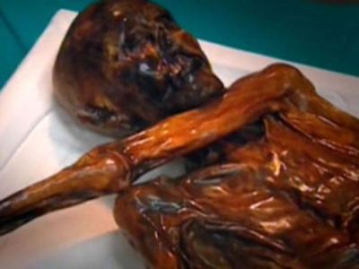 Digging for the Truth