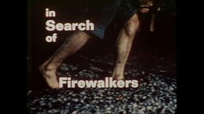 In Search of...