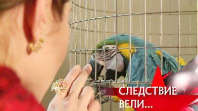 Следствие вели...