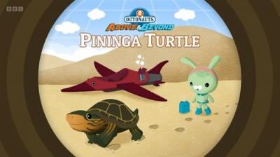 Octonauts: Above & Beyond