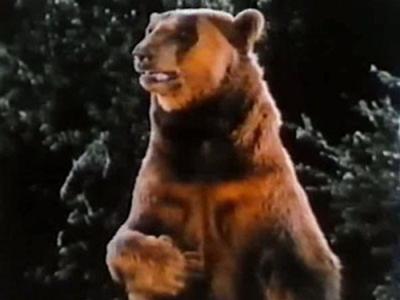 Manimal