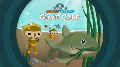 Octonauts: Above & Beyond
