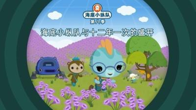 Octonauts