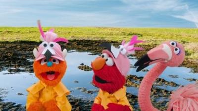 Sesame Street