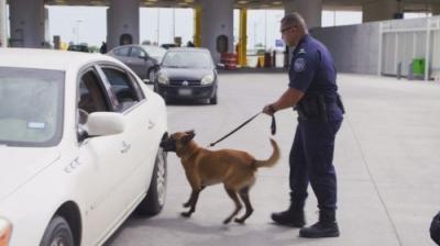Contraband: Seized at the Border