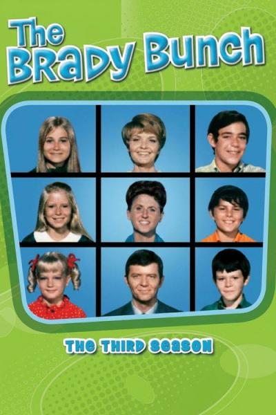 The Brady Bunch filmas online
