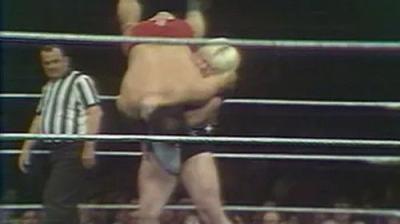 WWF All-Star Wrestling