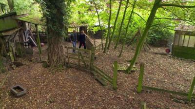 Treehouse Masters