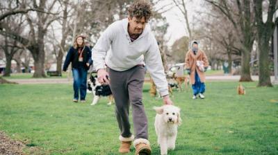 Dog Park