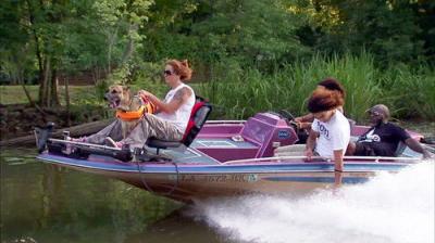 Pit Bulls and Parolees